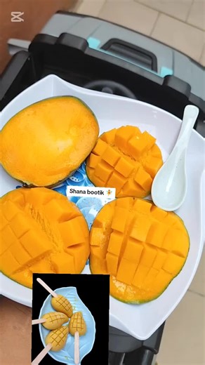 Shana_bootik sur TikTok