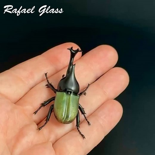 SOLD! 🔥 25% price reduction! 🔥 Only today: from $199 => $149! 🦏 Japanese Rhinoceros Beetle by Rafael Glass 👉 https://rafaelglassart.etsy.com/listing/4301943972 . . . #glass #artlover #artcollector #glassart #artist #art #borosilicate #flameworking #glasssculpture #sculpture #glassfigurines #animallovers #collectables #gift #handmade #craft #fire #flame #insects #beetle #insect #japanese #rhinoceros | Rafael Glass