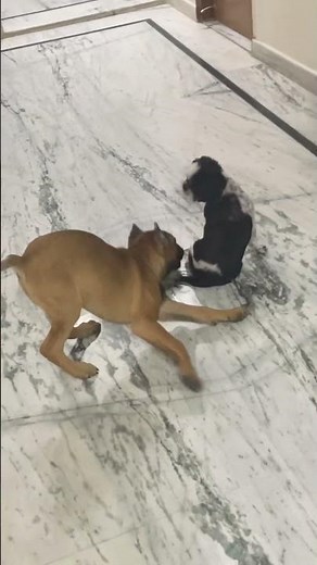 Playing time 🥰🥰🥰