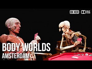 Explore the Human Body at BODY WORLDS Amsterdam: A Must-See Tour - 🇳🇱 Netherlands [8K HDR]