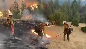3.5K views · 137 reactions | 30 hour shift on the Woods Creek Fire #getyoursmokey_on #pulaskishovelsandmen #womenin_fire #summercamp #hellyafireseason #americaswildfires #dripandrip #turnandburn #pinchotrangers #holdtheline #thetribeofwildlandff #ghostridersinthesky . . Repost @john_rowland5 Creds: @brady.harper.376 落 | Pulaski Shovels And Men | Facebook