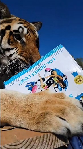 More birthday gift unwrapping coming soon! #onthisday | Zion & Brittany