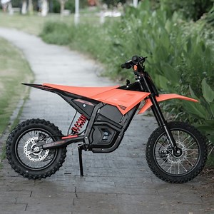 [Hot Item] Lightweight Electric off-Road Bikes for Maximum Load and Speed
