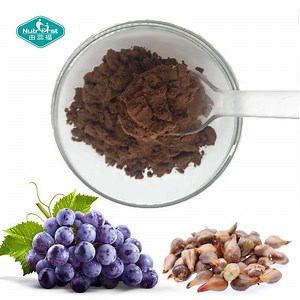 [Hot Item] Plant Extract Factory Grape Seed Extract Polyphenols 80% Proanthocyanidin Powder 95% Grape Fruits Seed P. E.