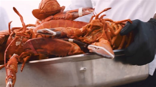 6.3K views · 141 reactions | Beach. Pool. Spa. Outdoor Dining. Tennis. Biking. Fun Activities. The unofficial kickoff to summer is here! #capecodsummer #oceanfrontresort #mdw2024 | Chatham Bars Inn | Facebook