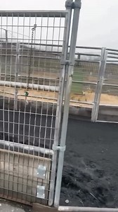 2K views · 26 reactions | Falla | Abel Alvarez | Facebook