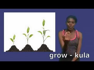 Malawian Sign Language picture themes ENVIRONMENT
