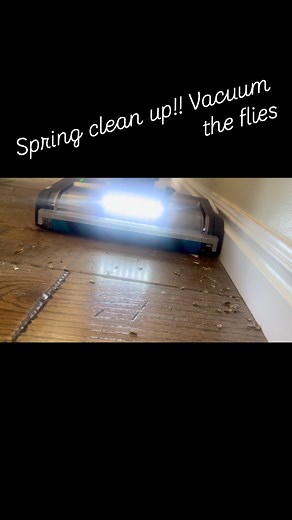 Dirty Deeds!! Little Spring cabin vacuuming! #utah #spring #springcleaning #vaccum | Justin Williams