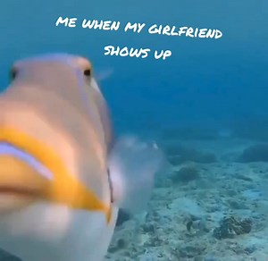 🐸: When my Girlfriend Shows Up #fishinglife #vod #deepseacreatures | REEF TANK Paradise