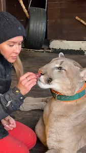 302K views · 10K reactions | Tasting roe deer and deer meat! I didn't expect this!!! | Puma London | Facebook