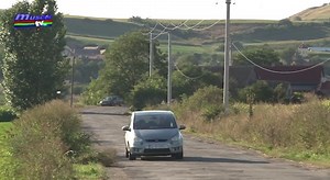 623K views · 20K reactions | Destinație de weekend - ferma de cerbi lopătari ... Aflat în vacanța de vară în zona Sibiului, colegul Bogdan Burhan a vizitat o fermă de cerbi lopătari. A filmat, a stat de vorbă cu proprietarul și vă prezintă și dumneavoastră o posibilă destinație de weekend. #musceltv #jurnalmusceltv #fermadecerbi #destinatiedeweekend #campulung #arges | MuscelTv Campulung | Facebook