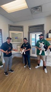 11 reactions | Advanced Windows Espanol  ¡Mejora la Puerta Para Tu Perrito ! ‍了 Las puertas para perros viejos dejan entran humedad y corrientes de aire, y sus marcos de aluminio se oxidan. ¡LAMA HOY para recibir este ESPECIAL al 801-981- 4540! ✅ ¡Consulta y estimado GRATIS ✅ ¡Financiamiento disponible! ✅ ¡Garantía de por vida! ✅ ¡Hablamos español! | La Gran D 102.3 | Facebook