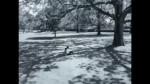 Tomorrow night! We're hosting a #PSIFS Member Screening of 🎶 MAESTRO 🎶 at the Regal Palm Springs, 6pm. Become a Palm Springs International Film Society Member today to unlock access to all upcoming screenings! tinyurl.com/JoinPSIFS 👈 #MaestroFilm #BradleyCooper #CareyMulligan #Netflix #PalmSprings #Films #Movies #Screening #Cinema #CoachellaValley | Palm Springs International Film Festival