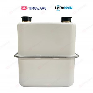 [Hot Item] G4 Lora/Lorawan Smart Gas Meter with Prepaid Remote Control and Iron Shell