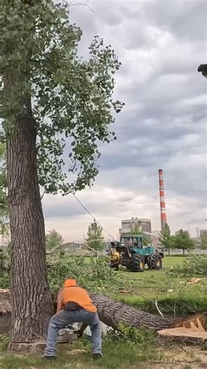 26K views · 326 reactions | Scene from "City Slickers" | Boys In The Woods | Facebook