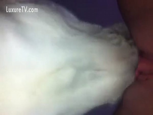 Deepest Dog Lick Ever
