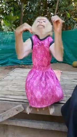 2.4K views · 144 reactions | So happy YaYa  | YaYa Note | Facebook