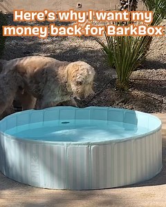 🐾 Treats, toys, and a FREE GIFT! Limited time offer in your pup's first monthly box! Grab it now! 🎁 | BarkBox
