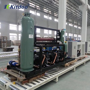 [Hot Item] Outdoor 220V 60Hz Low Failure Air Cooler Refrigeration Condensing Unit for Cold Storage Room