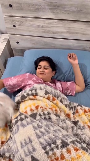 Every shih tzu has his own mischief 🙌 | My shih tzu