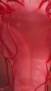 3.5K views · 39 reactions | Ovulation And Menstrual Cycle (3D Animation) #ovulation #menstrualcycle #menstruation #menses #femalemenstrualcycle #medical3danimation #3dmedicalanimation #fertilization | Surgery Page | Facebook