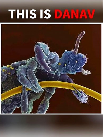 Things Under Microscope Creepy images #facts