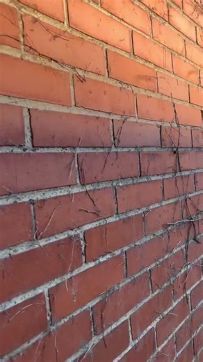 7.2K views · 289 reactions | Willy's build sitting on the best! #RocketRacingWheels Shop our full line of wheels here: https://holley-social.com/ShopRocketRacingWheels_FB #RRW #Wheels | Rocket Racing Wheels | Facebook