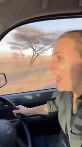 3.9K views · 29 reactions | Woman Escapes Elephant Attack | sour seavi សួរ សៀវអុី | Facebook