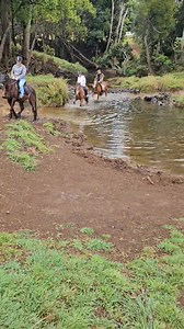 Horse riding byron bay | Pegasus Park Equestrian Centre