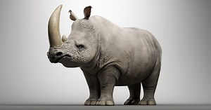 Maya Tool: Randomize Objects