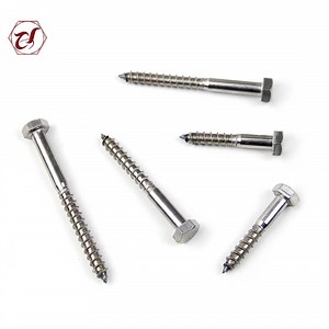 [Hot Item] Stainless Steel DIN 571 M4-M20 Coach Screw Allen Hex Wood Screw