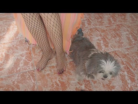 Pantyhose Showcase – Try On 3 Elegant Styles