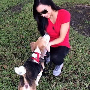 Happy 3 Year Anniversary for Miami Model Citizens!! Thank you for supporting our charity projects. We welcome everyone to attend our events and volunteer at our monthly charity projects! Please go to our website www.miamimodelcitizens.com and send us an email to be added to our email invite lists! #miamimodelcitizens #miami #models #charity #anniversary #givingback | Miami Model Citizens