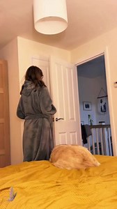 11K views · 340 reactions | How to get your husband to come to bed ❤️ #scarepranks #scarecam #fail #jumpscare #scary #scared #scaring #foryour #fypシ #funnyvideos #funny #prank #scaringpeople #funnyprankvideos #funnymoments #hahaha My Tiktok Account: https://www.tiktok.com/@scarefunny00 | Funny 2.0 | Facebook