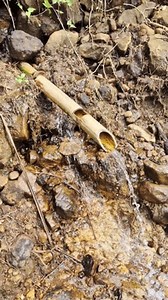 Cool Natural Views Morning Stock Footage Video (100% Royalty-free) 3996000789 | Shutterstock