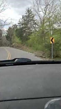 Highlander in twistys