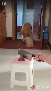 1.9K views · 39 reactions | 18+ show is not for kid! | Random joys | Facebook