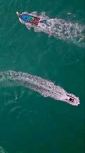 6.2K views · 83 reactions | If you dream of becoming an eagle, you follow your dreams and not the words of a bunch of chickens... #luxurylifestyle #yacht #goa #beachvibes #famikytime❤️ #love #attitudeofgratitude #ThankYouLordForAllTheBlessings | Voice of Malayale | Facebook