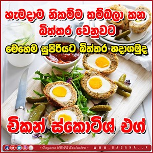 හැමදාම නිකම්ම තම්බලා කන බිත්තර වෙනුවට මෙහෙම සුපිරියට බිත්තර හදාගමුද #SuperEggs #CreativeCooking #EggRecipes #DeliciousFood #CookingAtHome | Gagana ගගන