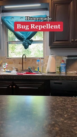 5.9K views · 114 reactions | Making homemade bug repellent #shaysnaturals #shaysnaturalremedies #bugrepellent #mosquitos #bugs #diy | Shays Naturals | Facebook