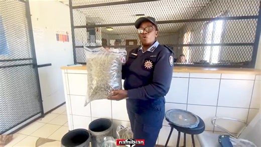 DRUGS FOUND AT TWO HOUSES ... Drugs, including skunk and marijuana seeds with an estimated value exceeding N$300 000, were confiscated from two houses at Farm Kransneus, 10 km north of Groot Aub. This was in a recent operation led by the Rehoboth Drug Law Enforcement Unit. Namibian police chief inspector Katrina Naukushu on Wednesday said four suspects have been arrested for drug possession. Video: Charlotte Nambadja | The Namibian