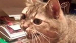 Frank Sinatra - Stardust