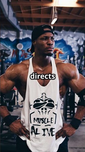 Why Do Men Have Nipples? 🤔