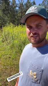 Putting some 360 Hunting blinds up in Tennessee today ! #hunting #360blinds #outdoors #deerhunting | The Rival