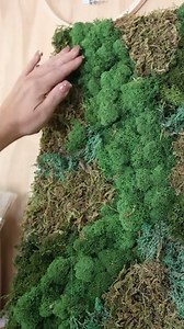 Moss Wall Art #dollartreediy #moss #wallart #walldecor #reels | Liz Fenwick DIY