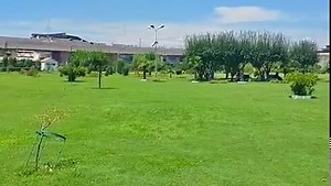 278K views · 10K reactions | #evergreenhitsong #oldisgold #beautiful view of Iqbal park Srinagar Jammu and Kashmir | Chenab Valley Explorer | Facebook