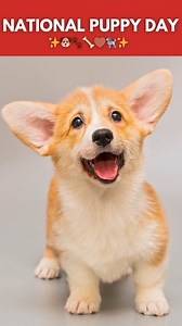 Anaheim Indoor Marketplace on Reels | Facebook