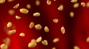 clip-2123018-super-slo-mo-falling-nuts