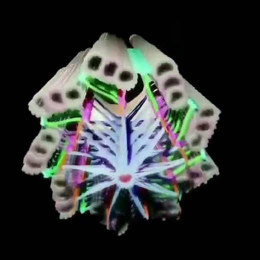 CENTRIOLE 🧐😱💥