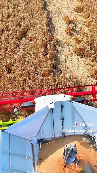 Asdal Hovedgaard on TikTok